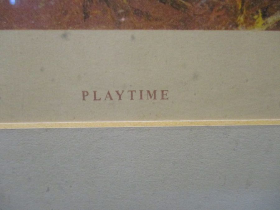 A framed limited edition David Shepherd print (numbered 176/850) entitled "Playtime" signed by - Image 6 of 15