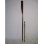 A vintage bull pole, along with a rowing oar
