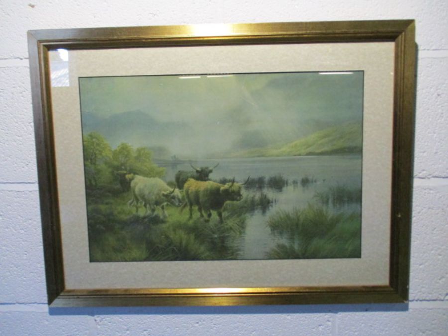 A framed limited edition David Shepherd print (numbered 176/850) entitled "Playtime" signed by - Image 9 of 15