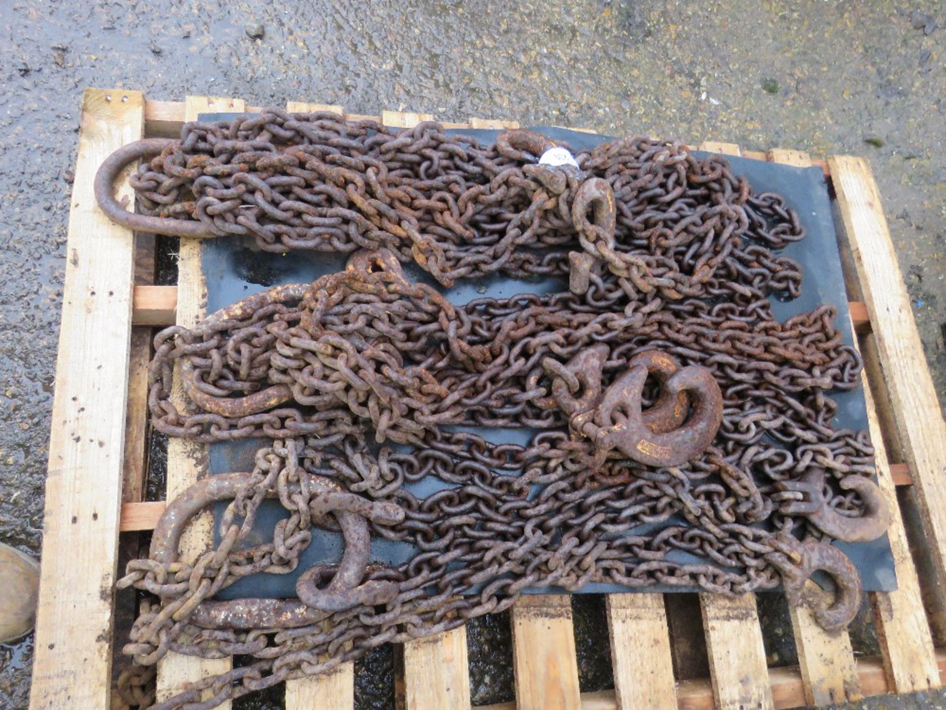 3 X LIFTING CHAIN BROTHERS, UNTESTED. - Image 3 of 3