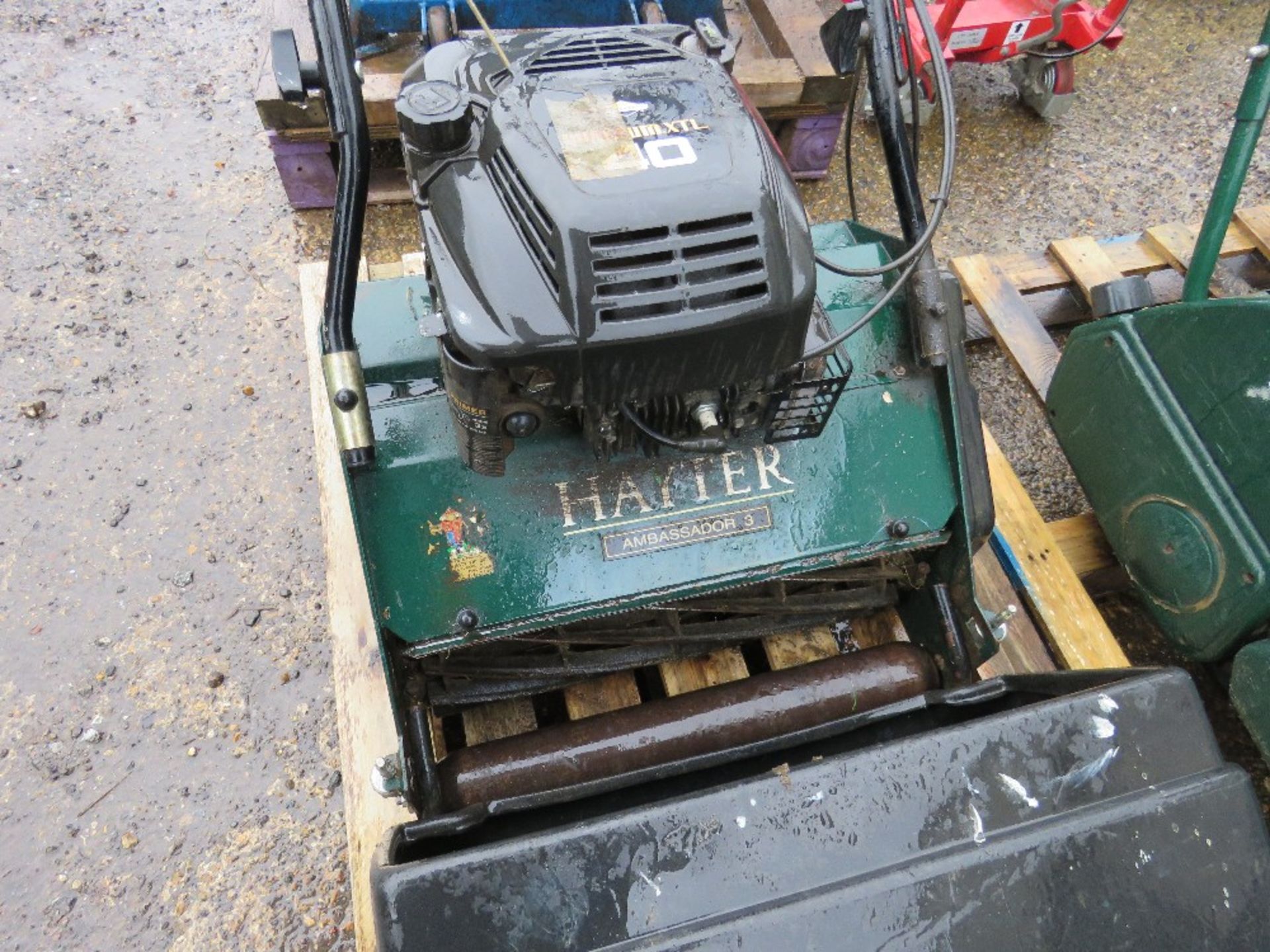 HAYTER CYLINDER MOWER WITH BOX. WHEN TESTED WAS SEEN TO RUN AND DRIVE AND BLADES TURNED. - Image 2 of 4
