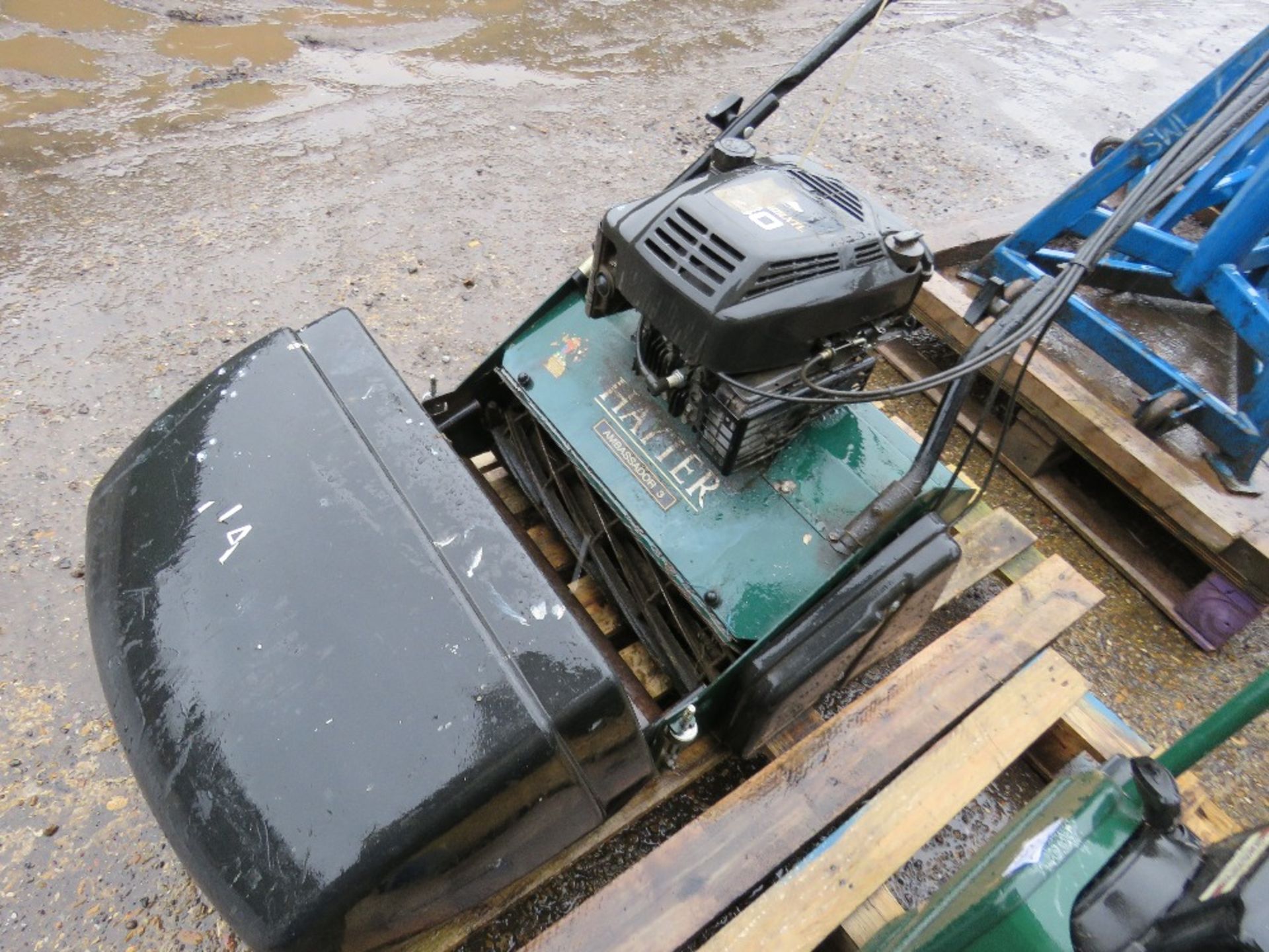 HAYTER CYLINDER MOWER WITH BOX. WHEN TESTED WAS SEEN TO RUN AND DRIVE AND BLADES TURNED. - Image 3 of 4