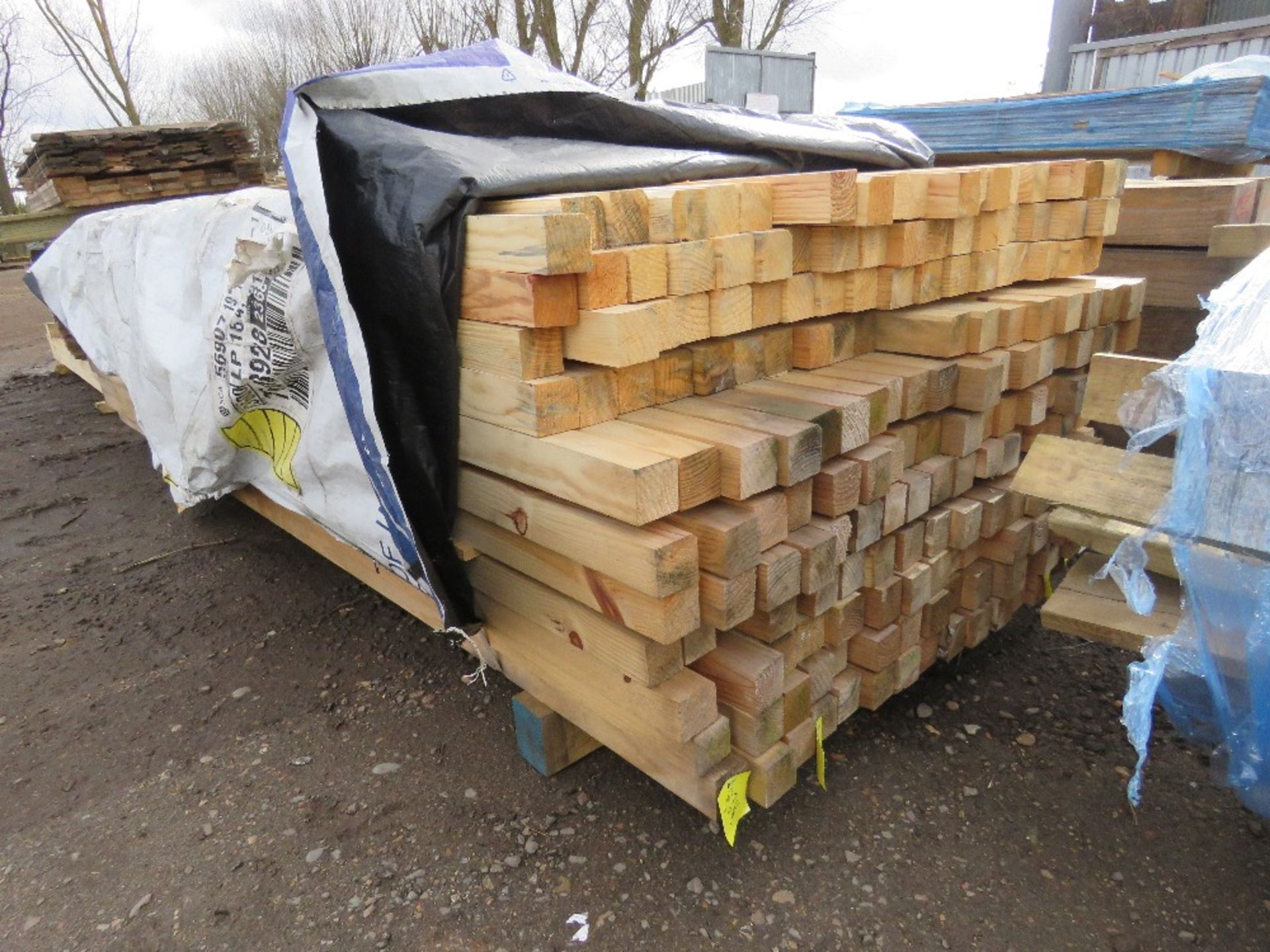 PACK OF UNTREATED TIMBER POSTS 2.3M X 5.5CM X 5.5CM APPROX. - Image 4 of 4