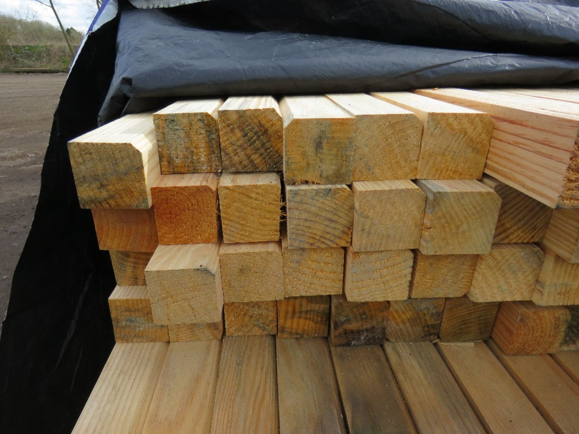 PACK OF UNTREATED TIMBER POSTS 2.3M X 5.5CM X 5.5CM APPROX. - Image 3 of 4