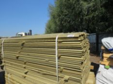 LARGE PACK OF SHIPLAP TREATED TIMBER FENCE CLADDING BOARDS, 1.72M X 100MM WIDTH APPROX.