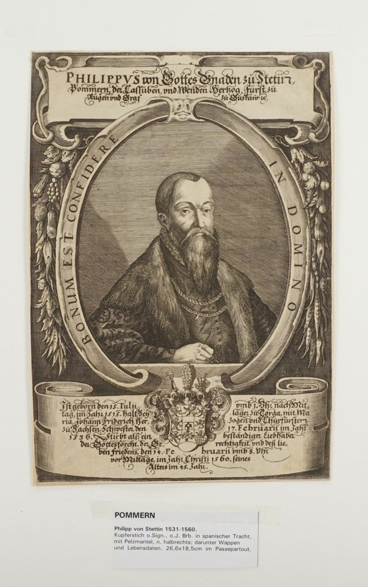 Georg Walch, "Philippus von Gottes Gnaden zu Stetin, [...]" (Philipp I. von Pommern-Wolgast) - Bild 3 aus 3