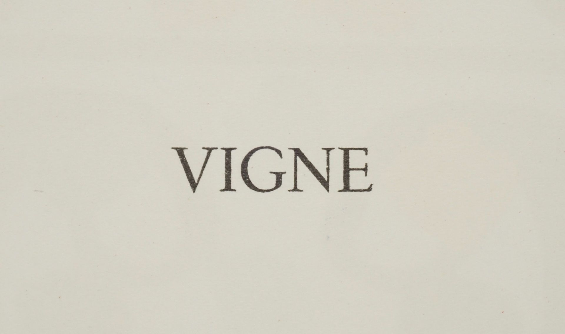 Henri Matisse, "Vigne (Weinstock)" - Image 4 of 4