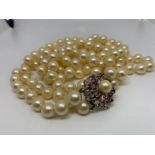 Cultured pearls