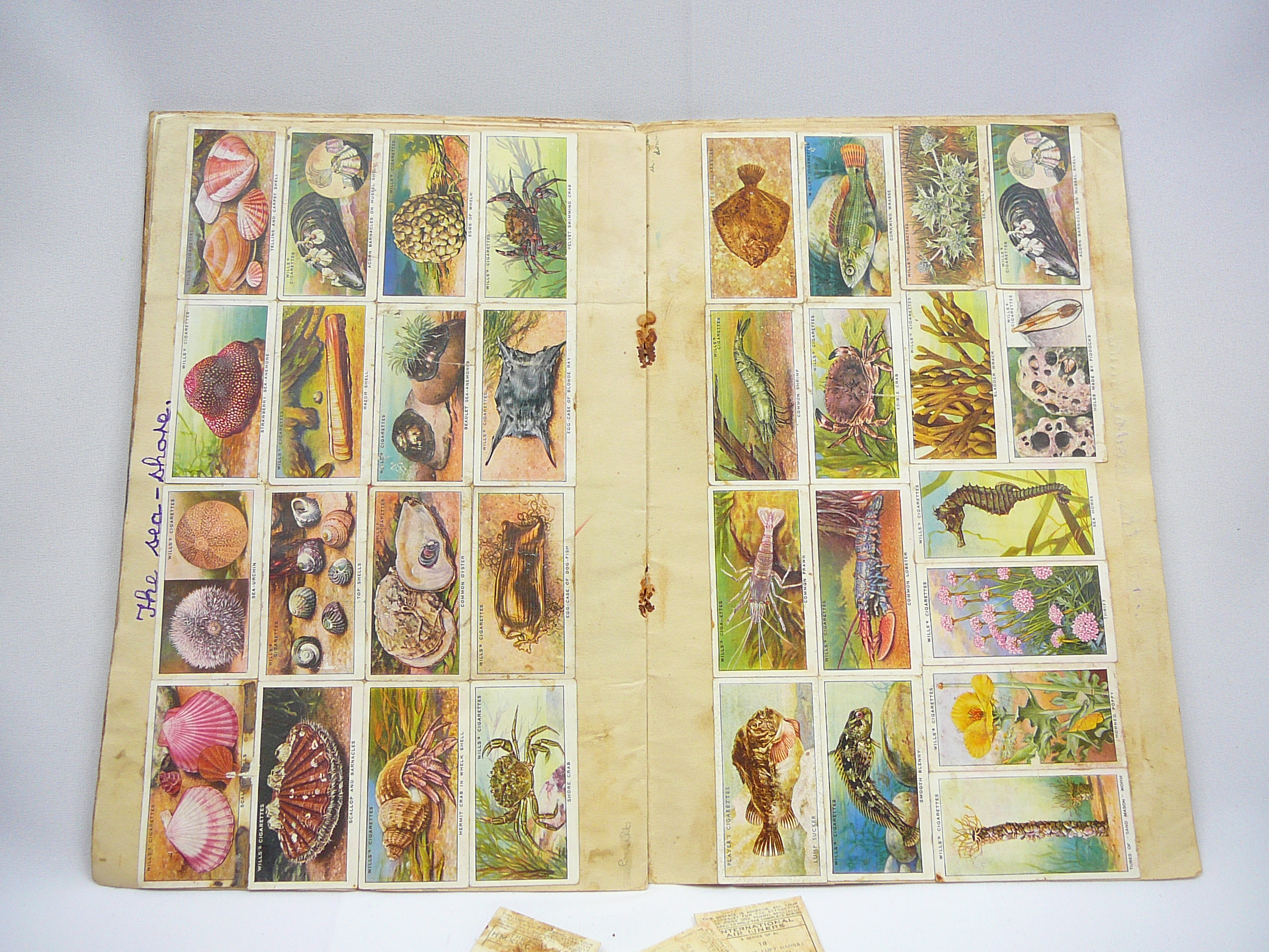 Cigarette cards album - Image 2 of 7