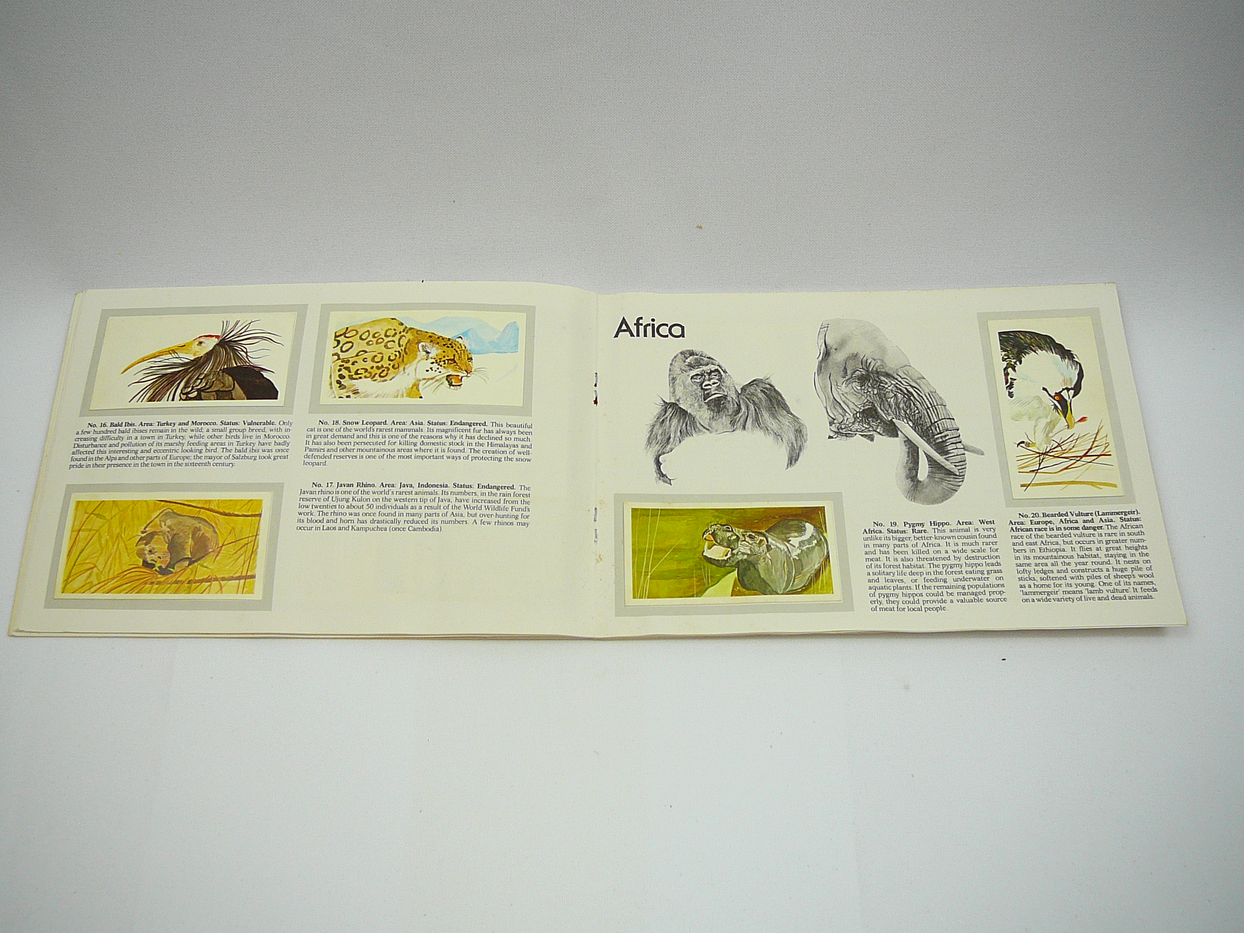 A Wildlife Tea Cards Album