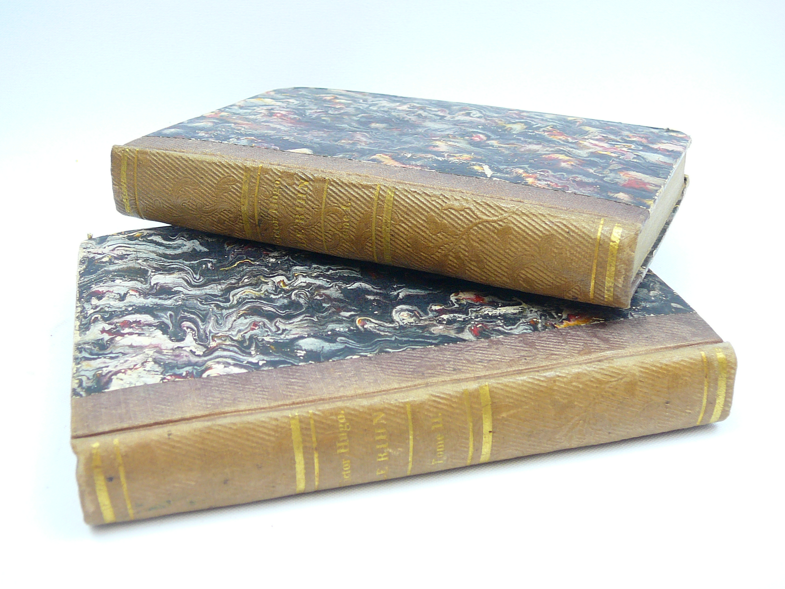 Mid 19th Copy of Le Rhin by Victor Hugo (2 volumes)