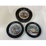 Three 19th century pot lids with sea shell decoration in wooden oval frames.W:17cm x D:17cm x H:cm