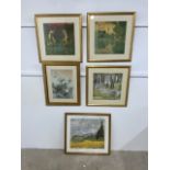 Five furnishing prints in gilt frames. Average image size. W:39cmxH:39cm