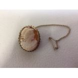 A 9ct gold and shell cameo brooch. 5gW:2.5cm x D:1cm x H:3cm
