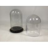 A glass display dome on circular turned mahogany base with one other modern glass display dome(