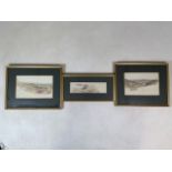 Fredrick(Fred) Williamson (1835-1900). Three framed watercolour studies. Signed F.W. Largest 27cm