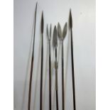 A collection of six late 19th early 20th century West African spears for hunting and fishing.