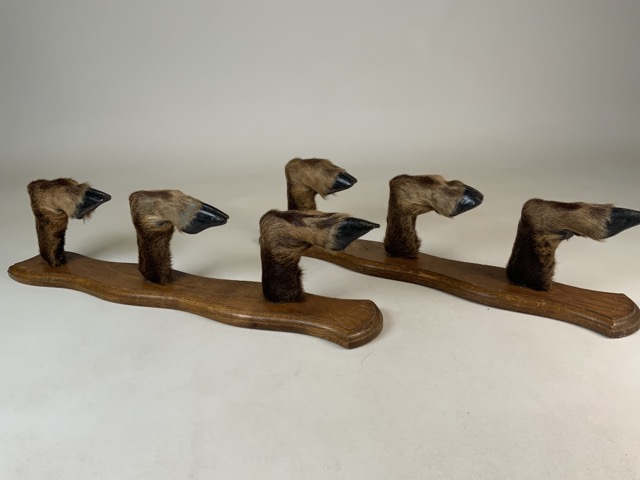 A pair of taxidermy gun rack or coat hook wall mounts. Six Deer hoofs on oak panels. W:53cm x D:10cm - Bild 2 aus 4