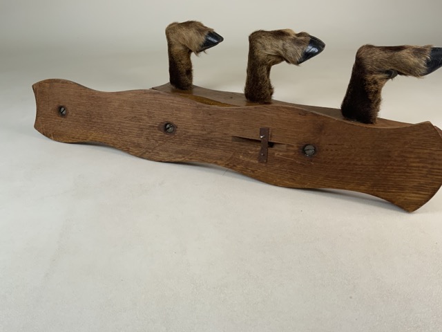 A pair of taxidermy gun rack or coat hook wall mounts. Six Deer hoofs on oak panels. W:53cm x D:10cm - Bild 3 aus 4
