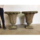 A pair of large fluted garden urns, reconstituted stone on square pedestal base. W:69cm x