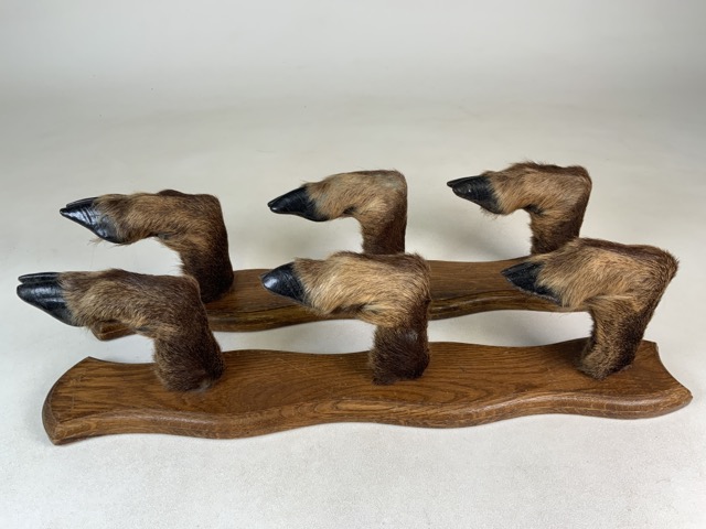 A pair of taxidermy gun rack or coat hook wall mounts. Six Deer hoofs on oak panels. W:53cm x D:10cm