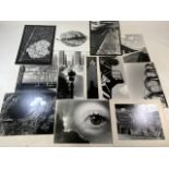 Black and white photography of London skylines and natural history subjects. Approx size. W:40cm x