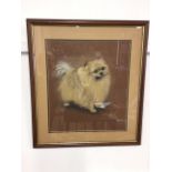 A framed pastel of a Pomeranian dog by Smart, BA. Dated 1997. On paperW:35cm x H:40cm