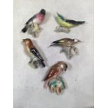 Set of five vintage wall birds possibly German. Approx height of largest bird 14cm