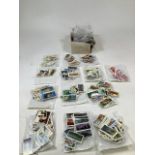 A large collection of cigarette and PG Tips cards including dinosaurs, wild flowers, Olympic