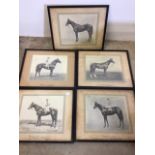 A series of five horse photographs.