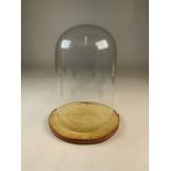 A Victorian glass dome on a circular material base. H:27cm