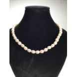A strand of fresh water pearls 9ct clasp. (needs restringing)