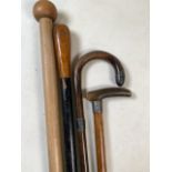 Four assorted walking sticks, two with silver collars. Average H:86cm