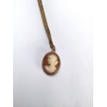 A 9ct gold mounted cameo pendant on a 9ct gold flat curb link chain. 5.7g.