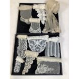 A collection of nineteenth century lace to include ficus and tippets