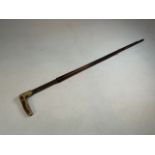 A poachers shooting stick, with carved horn handle and malacca cane with pull loading action (