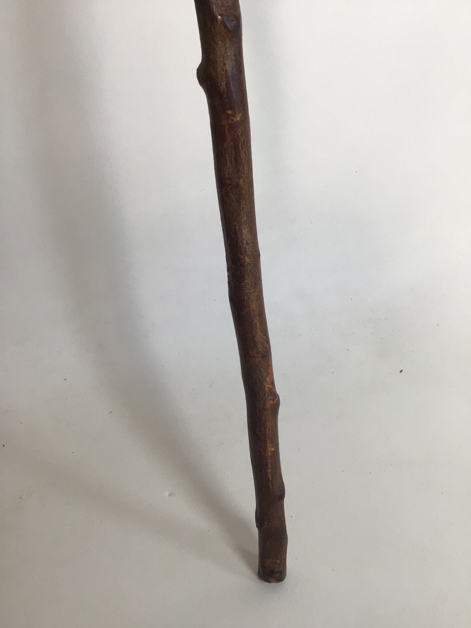 A pheasant head walking stick with horn handle. H:113cm - Image 4 of 5