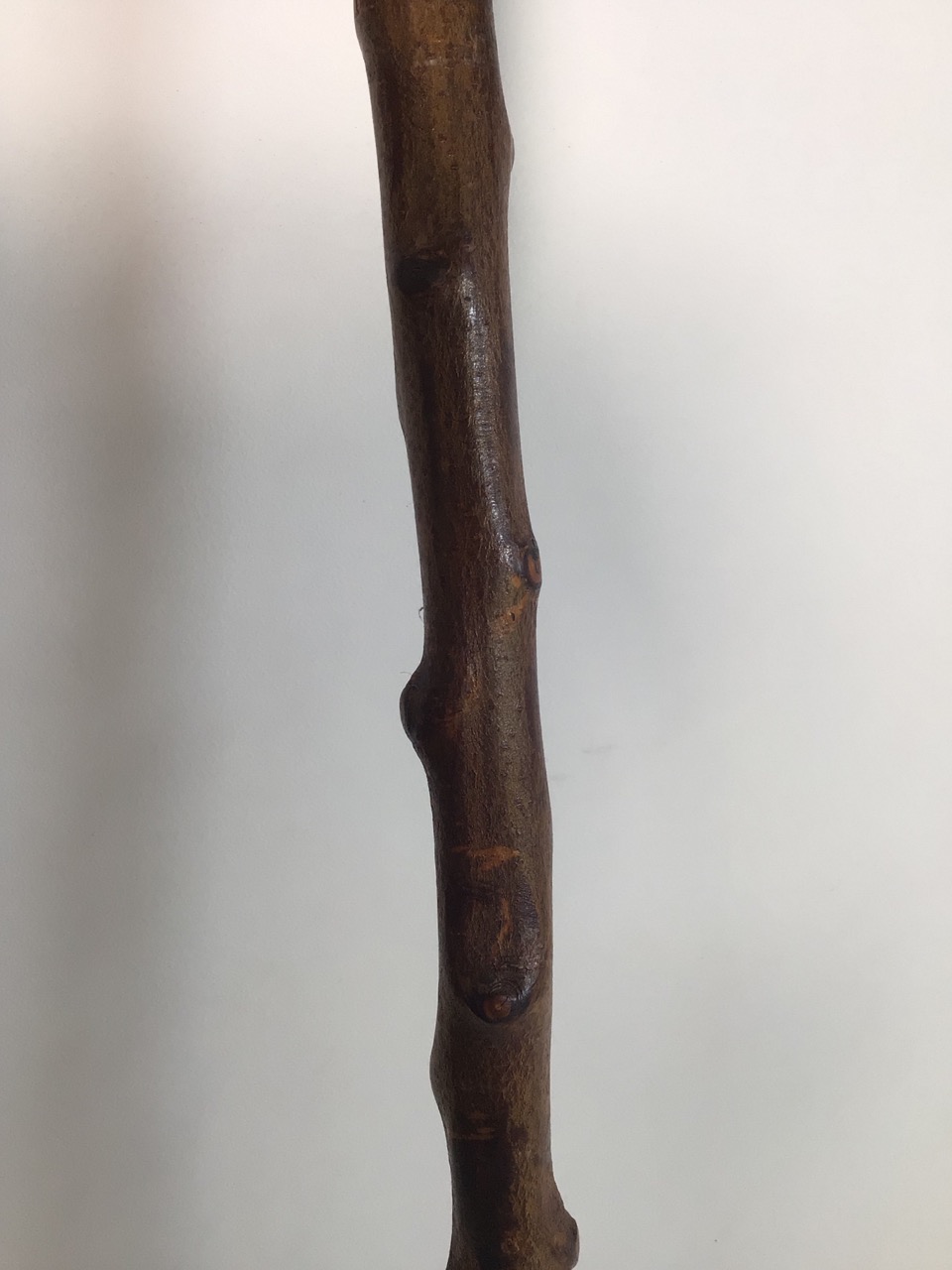 A pheasant head walking stick with horn handle. H:113cm - Image 5 of 5