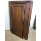 A chestnut 19th century corner cupboard with three shaped interior shelves. W:49cm x D:49cm x H: