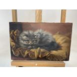 An oil on canvas of a fluffy grey cat. Reverse signed : Painted by C S Ainslie given to Stella