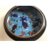 A large Cloisonné bowl on oriental hardwood stand. W:30cm x D:30cm x H:9cm.
