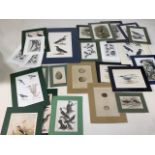 A large quantity of bird related prints in modern mounts. Approx W:20cm x H:25cm