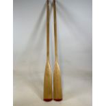 A pair of oars. H:180cm