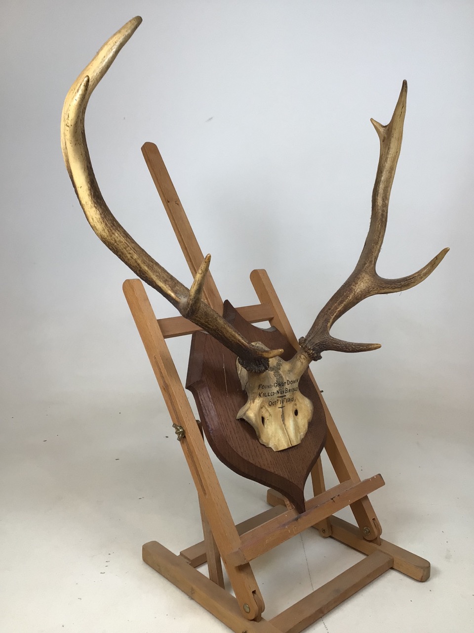 A pair of mounted antlers. Dated 1913. Length of antlers approx 47cm - Image 3 of 5