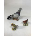 A Beswick pigeon ref 1383 together with a Beswick Goldcrest ref 2415 and Wren ref 993 H:14cm a