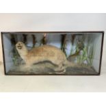 A taxidermy otter and kingfisher diorama also with a small fish. W:103cm x D:25cm x H:46cm