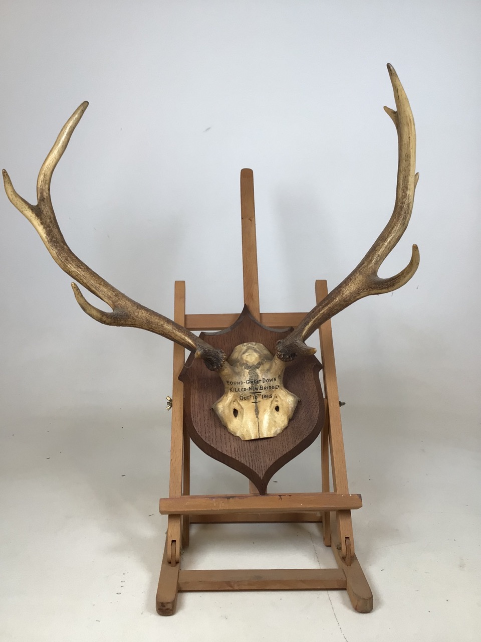 A pair of mounted antlers. Dated 1913. Length of antlers approx 47cm