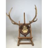 A pair of mounted antlers. Dated 1913. Length of antlers approx 47cm