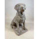 A reconstituted stone statue of a Labrador. W:26cm x D:45cm x H:57cm