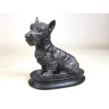 An early 20th century spelter figure of a Scottie. On original wooden plinth. W:22cm x D:11cm x H: